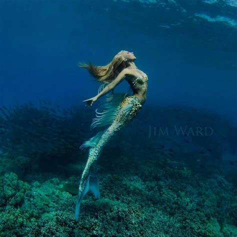 A Real-Life Mermaid Who Swims With Sharks Using Her Fish Tail And Holds ...