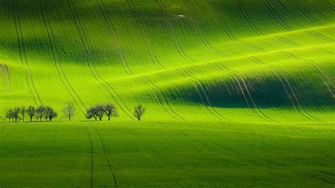 South Moravian landscape near Kyjov, Czech Republic | Paisajes, Lugares, Campo