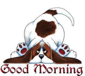 Good Morning Dog Pictures, Photos, and Images for Facebook, Tumblr, Pinterest, and Twitter