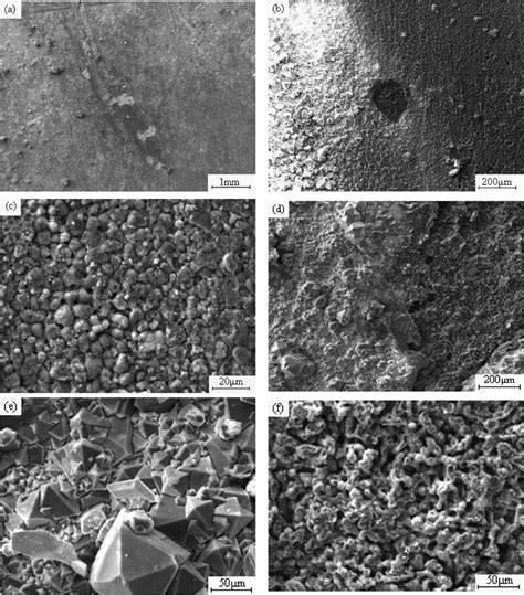 316 ss surface morphology after corrosion in ternary chloride molten ...