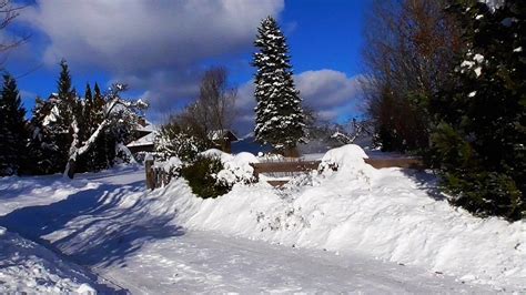 Winter wonder in the Bavarian Forest - YouTube