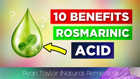 10 Benefits of Rosmarinic Acid From Eating Herbs - YouTube