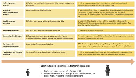 Healthcare | Free Full-Text | Where Do Neurodevelopmental Disorders Go? Casting the Eye Away ...