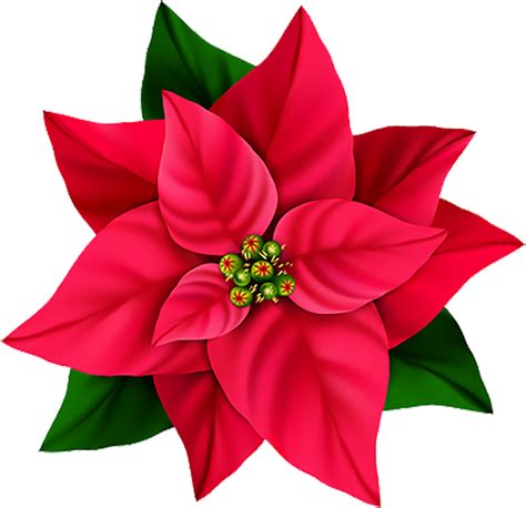 Red Flower PNG Image - PurePNG | Free transparent CC0 PNG Image Library