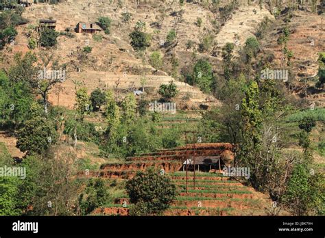 agriculture in nepal Stock Photo - Alamy