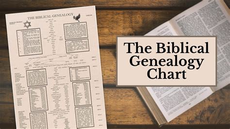 Family Tree Bible Old Testament Genealogy Genealogy O - vrogue.co