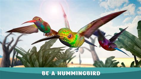 Humming Bird Wildlife Simulator Game: Flower Eating Bright Color Dash:Amazon.co.uk:Appstore for ...