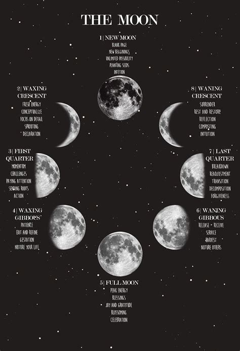 #nursery Moon Phase Poster Lunar Phases and Meanings Space Poster Night Sky Print Witch Art ...