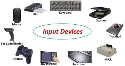 What are input and output devices