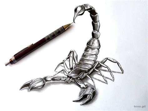 Scorpion | Scorpion tattoo, 3d pencil drawings, Scorpion