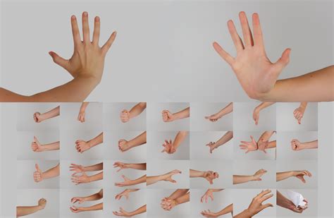 Hand Poses Stock Pack by Danika-Stock on DeviantArt