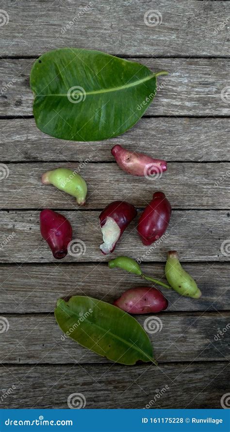 Exotic Fruit Syzygium Cumini. Java Plum. Called in Indonesia As Jamblang or Juwet on Wooden ...