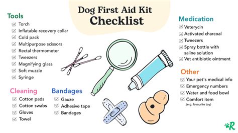 Dog First Aid Kit | What Should You Put in a Dog's Emergency Supply?