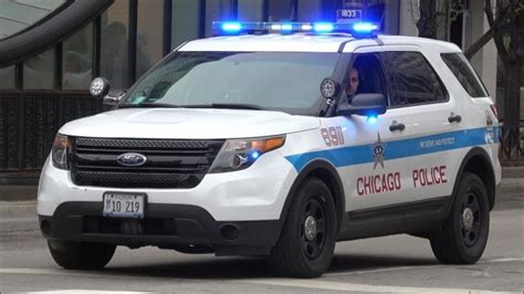 T Dog’s Think Tank: Fox News: Chicago is our kind of town…for crime – T ...