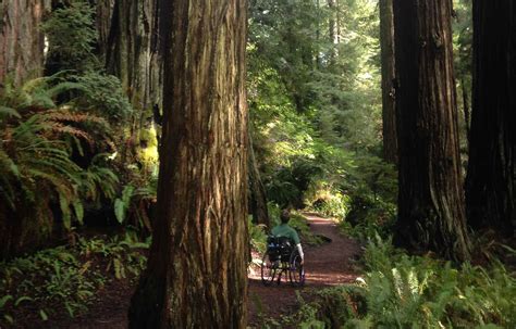 Walks and Hikes - Redwood National and State Parks (U.S. National Park Service)