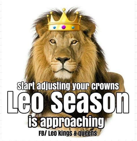 Leo season, Leo season memes, Happy birthday leo