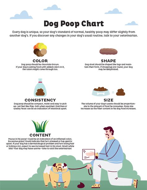 Dog Poop Chart