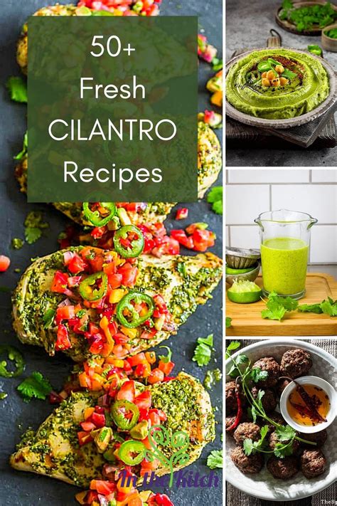 55 Fresh & Zesty Cilantro Recipes - In the Kitch