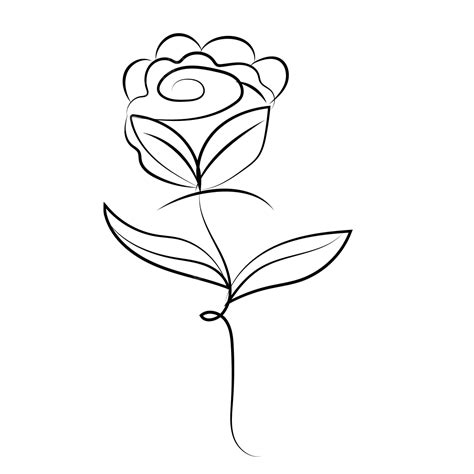 Rose Liner Vector, Rose Drawing, Rose Sketch, Red Rose PNG and Vector with Transparent ...
