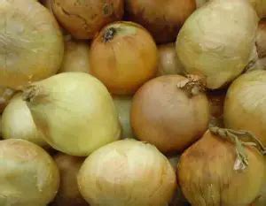 List Of Onion Varieties - Discover 10 Varieties To Grow - Home Garden ...