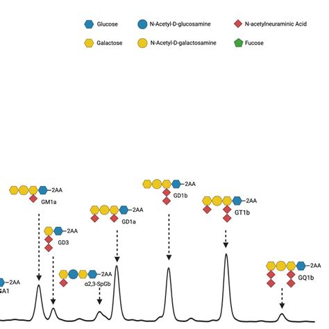 Analysis of glycosphingolipids from human cerebrospinal fluid