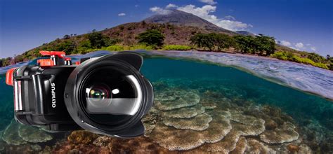 Everything you Need to Know about Wide-Angle Lenses - Snorkel Venture