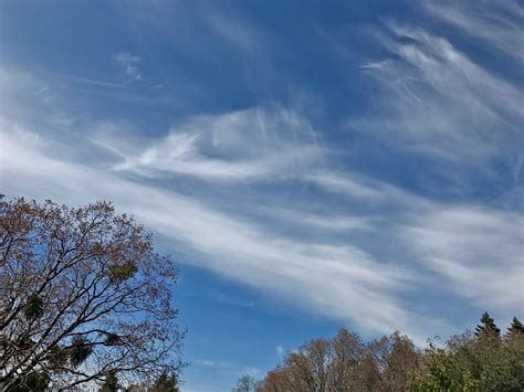 Cirrus and cirrostratus close to Erik Thompson's luxury cabin. #clouds #sandiego #cloudporn ...