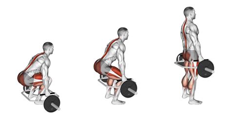 Trap Bar Deadlifts: Benefits, Muscles Worked, and More - Inspire US