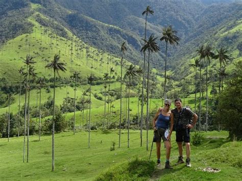 Cocora Valley: visit the world´s tallest palm trees • Lulo Colombia Travel