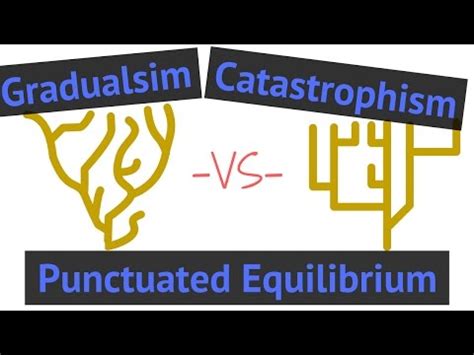 Punctuated Equilibrium — Definition & Overview - Expii