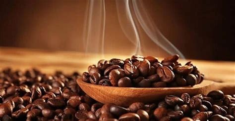 Cafe Robusta là gì? Cách pha chế cafe Robusta chuẩn vị