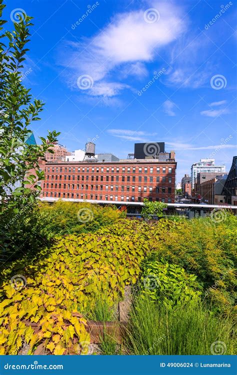 High Line Park Manhattan New York US Stock Photo - Image of skyscraper, touristic: 49006024