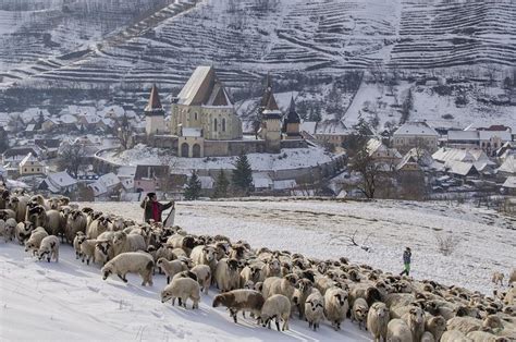 Romania travel: Destinations for a winter break | Romania Insider