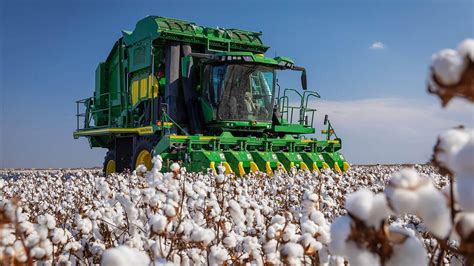 Cotton Processing Machine Blog. The Latest Analysis of Cotton Industry