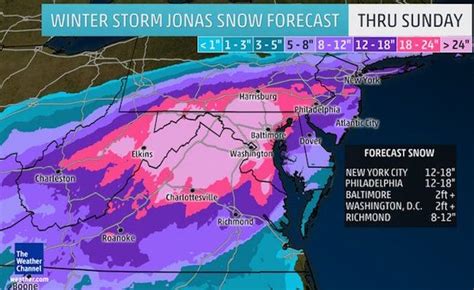 Winter Storm Jonas Brings Dangerous Weather to East Coast - Your Daily Dish