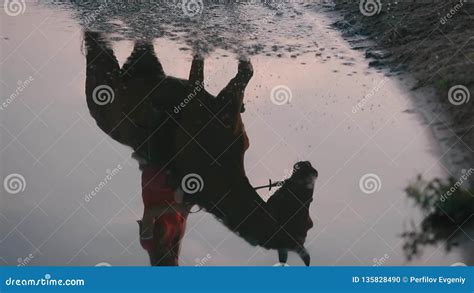 A Girl Riding a Horse, Reflected in Water Stock Footage - Video of blue ...