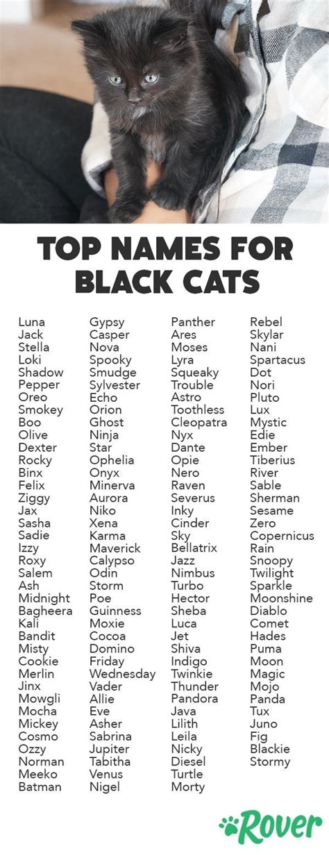 Pin by Jill G on Black Cats | Perawatan kucing, Nama anjing, Piaraan