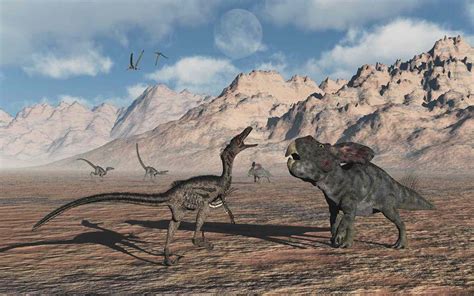 Velociraptor Vs Protoceratops Fossil