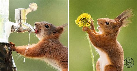 A Photographer Dedicates His Life to Capturing Squirrels and Becomes Their Best Friend / Bright Side