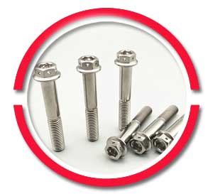 Titanium Bolt manufacturer, Titanium Nuts Bolts, Titanium Fasteners