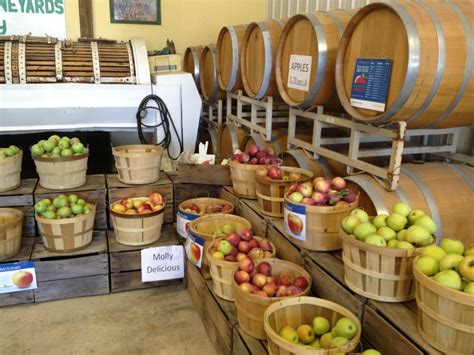 Lemon Creek Winery - 76 Photos & 77 Reviews - Wineries - 533 E Lemon ...