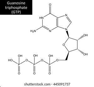 Gtp Structure Stock Photos and Pictures - 92 Images | Shutterstock