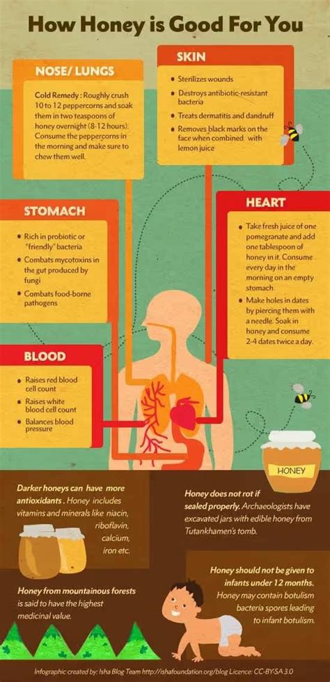 8 Benefits of Honey and Its Traditional Uses