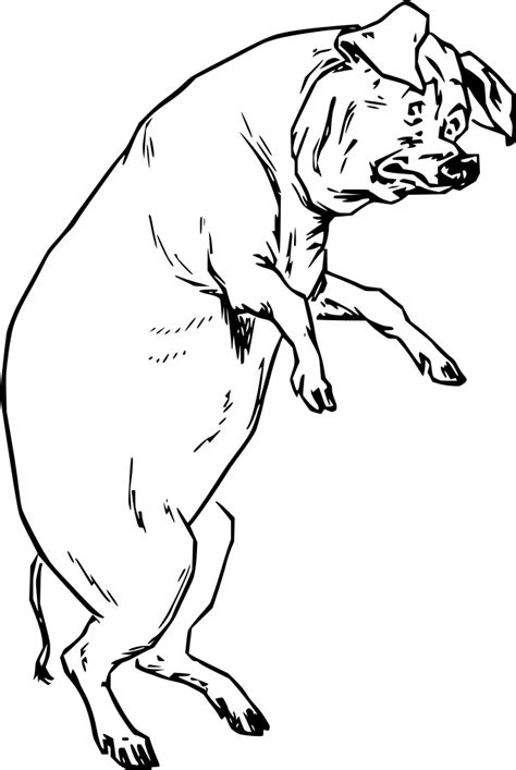 SVG > snout mud pork animal - Free SVG Image & Icon. | SVG Silh