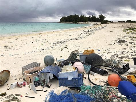 Growing ocean garbage patch threatens Pacific seabirds