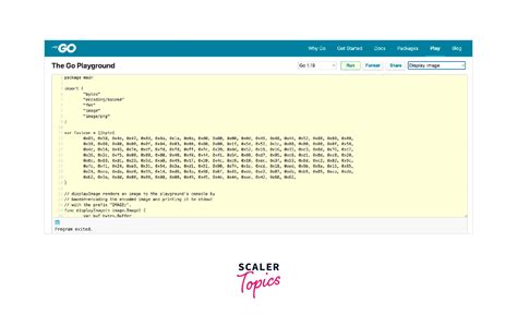 Golang Playground for Practice - Scaler Topics