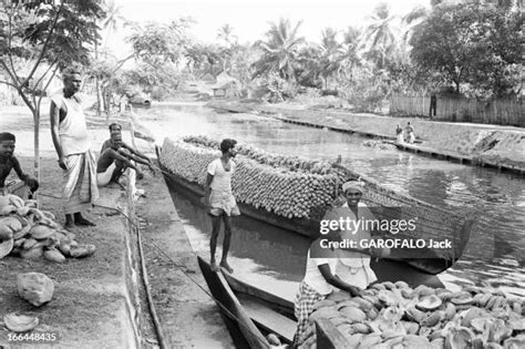 505 Famine India Stock Photos, High-Res Pictures, and Images - Getty Images