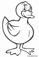 Printable Duck Coloring Pages For Kids  Cool2bKids sketch template
