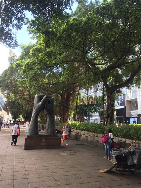 Revisiting Kowloon Park two decades later – Susan Blumberg-Kason