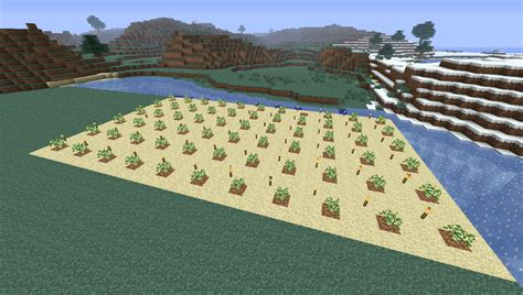 Novament: Minecraft Oak Tree Farm Layout